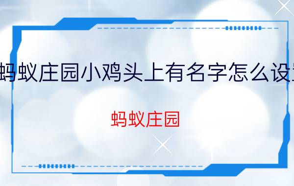 蚂蚁庄园小鸡头上有名字怎么设置 蚂蚁庄园,小鸡左边棕色的一摊东西是什么？